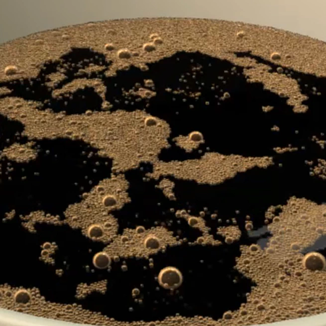 Animating Bubble Interactions in a Liquid Foam