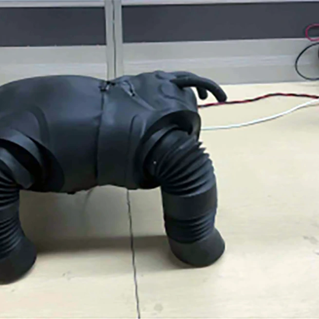 Computational Design of Skinned Quad-Robots