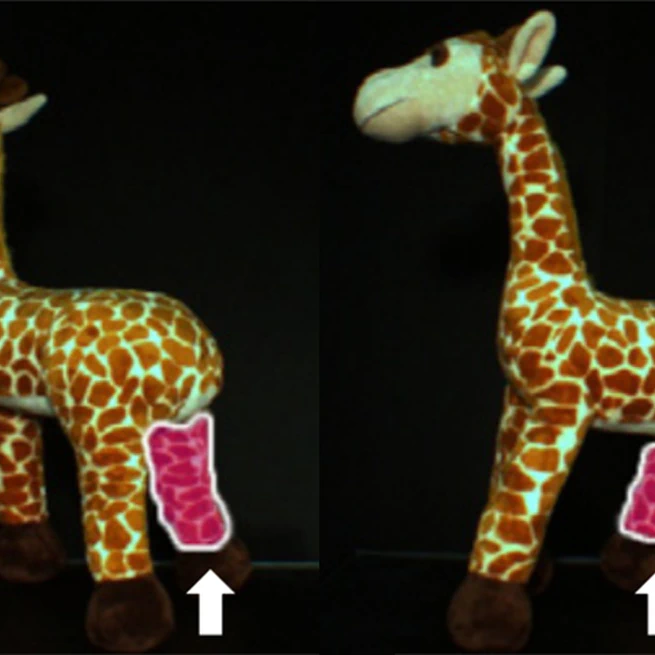 Modeling Deformable Objects from a Single Depth Camera