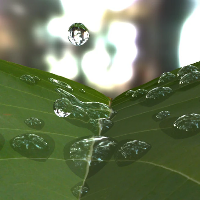 Water Drops on Surfaces
