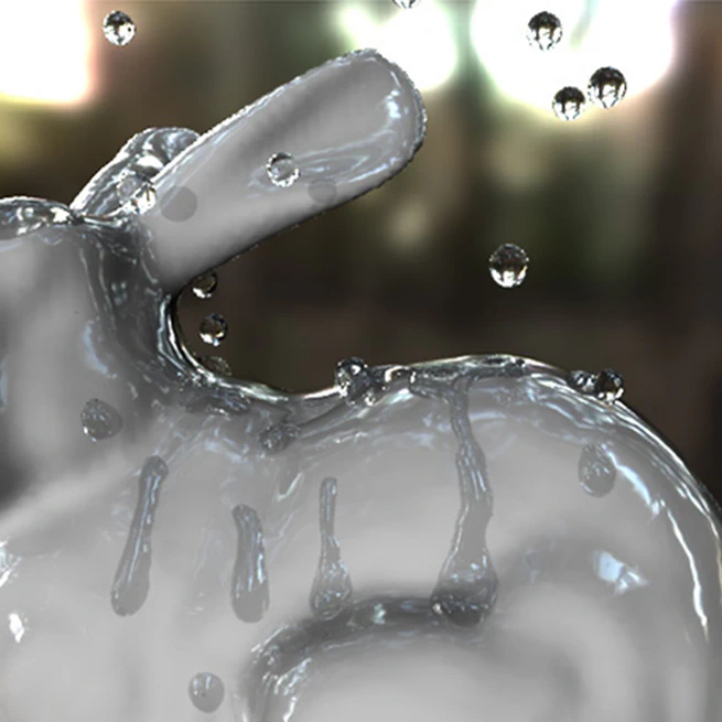 Practical Water Animation using Physics and Image Based Methods