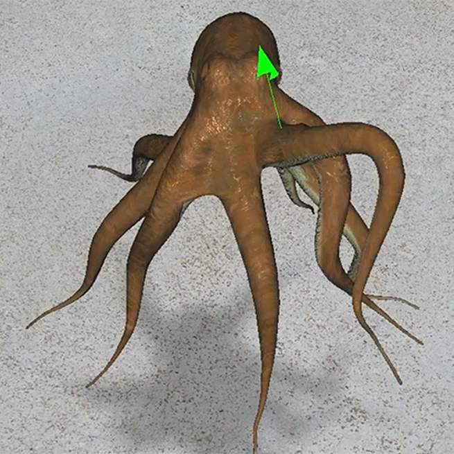 A Unified Approach for Subspace Simulation of Deformable Bodies in Multiple Domains
